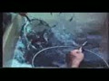 video pic