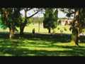 video pic