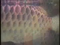 video pic