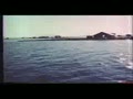 video pic